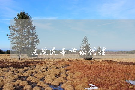 法院民事诉讼代理 法院民事诉讼代理