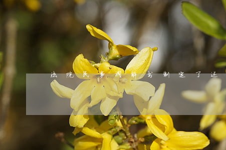法院民事调解书制定了还款计划 法院民事调解书制定了还款计划