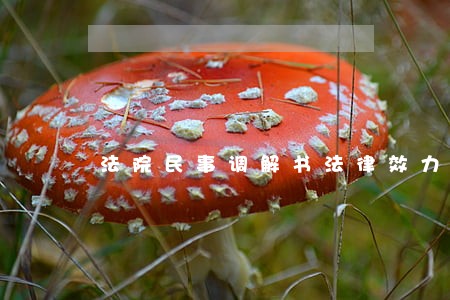 法院民事调解书法律效力 法院民事调解书法律效力