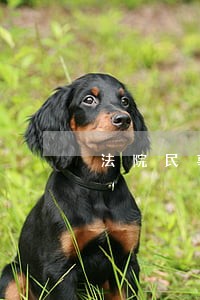 法院民事调解申请书范本 法院民事调解申请书范本