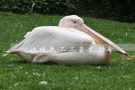 法院民工工资支付令 法院民工工资支付令