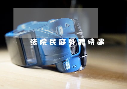 法院民庭外聘待遇