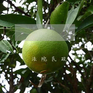 法院民政局联网吗 法院民政局联网吗