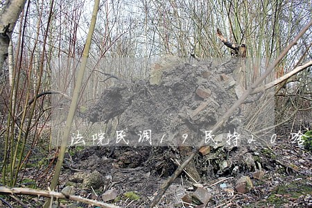 法院民调19民特20啥意思