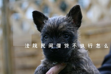 法院民间借贷不执行怎么办 法院民间借贷不执行怎么办