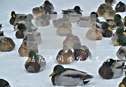 法院民间借贷先息后本 法院民间借贷先息后本