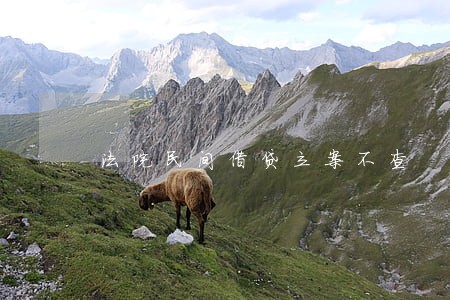 法院民间借贷立案不查 法院民间借贷立案不查