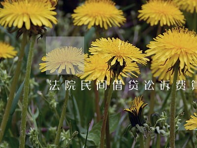 法院民间借贷讼诉费算法 法院民间借贷讼诉费算法