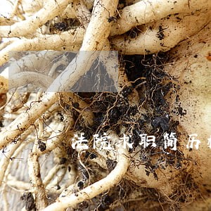 法院求职简历模板 法院求职简历模板
