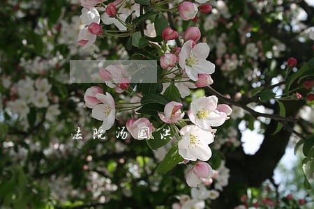法院汤国洪 法院汤国洪