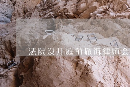 法院没开庭前撤诉律师会退费用吗 法院没开庭前撤诉律师会退费用吗