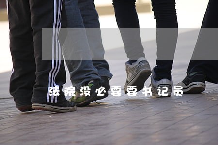 法院没必要要书记员