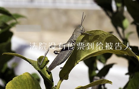 法院没有传票到给被告人 法院没有传票到给被告人
