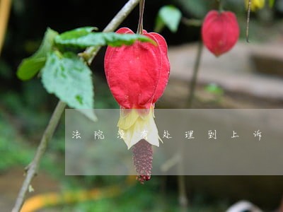 法院没有处理到上诉 法院没有处理到上诉