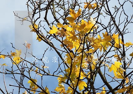 法院没有把土地分配写到判决书上 法院没有把土地分配写到判决书上