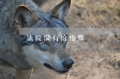 法院没有给传票 法院没有给传票