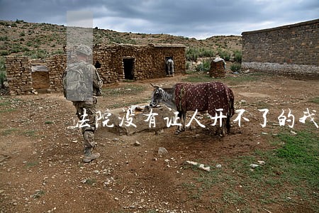 法院没有证人开不了的我去哪告呢