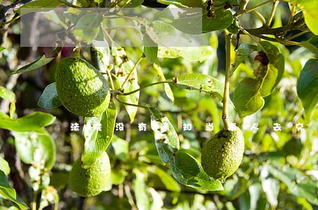 法院没有通知当事人去交上诉费 法院没有通知当事人去交上诉费