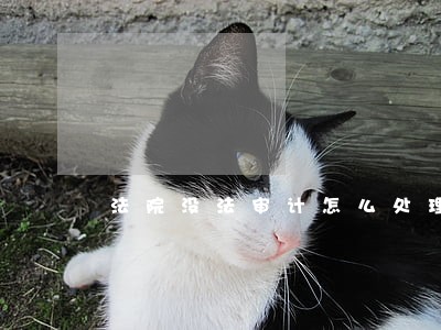法院没法审计怎么处理