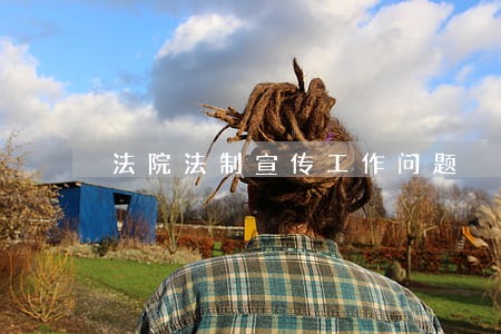 法院法制宣传工作问题 法院法制宣传工作问题