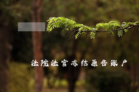 法院法官冻结原告账户 法院法官冻结原告账户