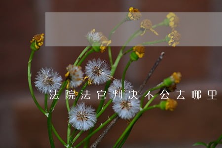 法院法官判决不公去哪里举报