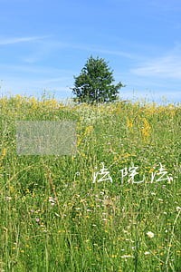法院法官助理个人述职报告