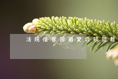 法院法官回避复议驳回裁定书