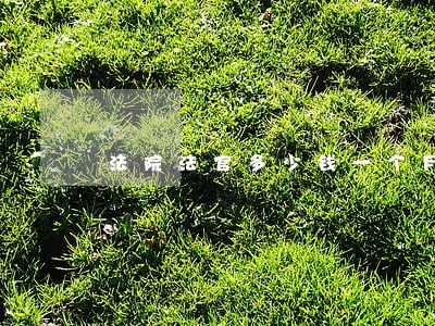 法院法官多少钱一个月 法院法官多少钱一个月