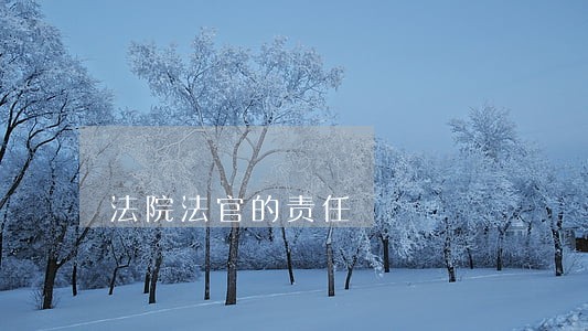 法院法官的责任