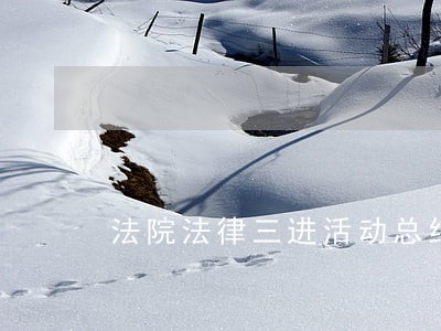 法院法律三进活动总结