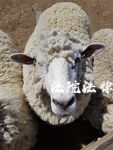 法院法律宣传问卷