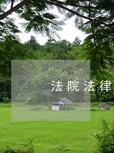 法院法律援助好吗