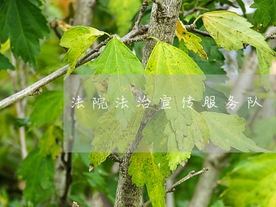 法院法治宣传服务队 法院法治宣传服务队