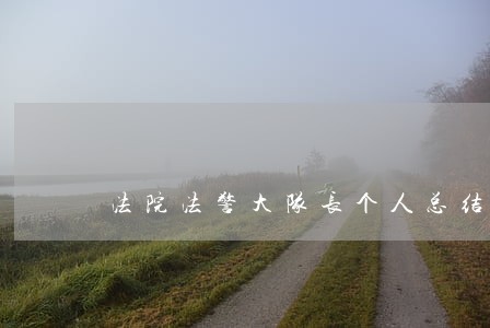 法院法警大队长个人总结