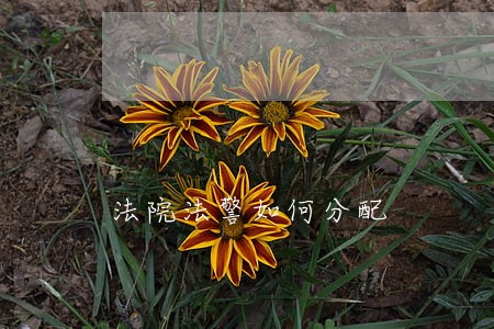 法院法警如何分配 法院法警如何分配
