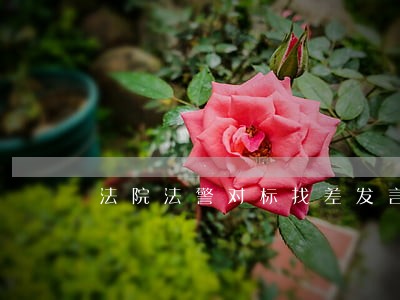 法院法警对标找差发言 法院法警对标找差发言