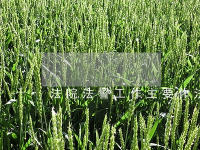 法院法警工作主要作法 法院法警工作主要作法