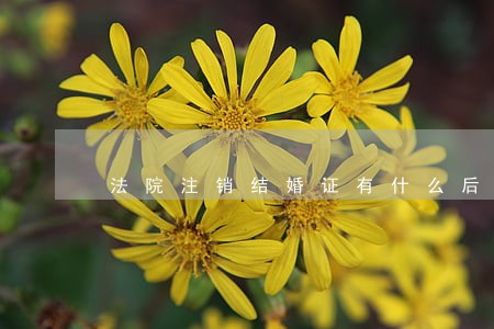 法院注销结婚证有什么后果 法院注销结婚证有什么后果