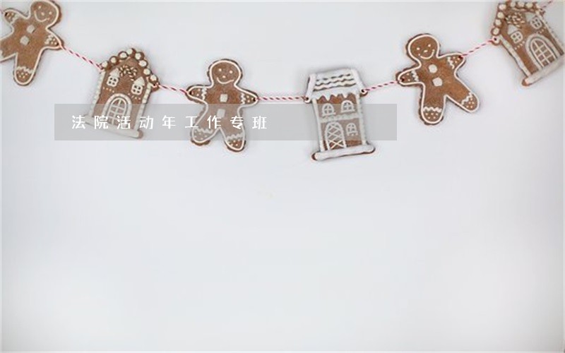 法院活动年工作专班 法院活动年工作专班