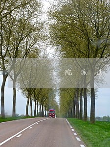 法院派遣人员年终个人总结 法院派遣人员年终个人总结
