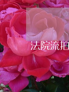 法院流拍第二次拍卖等多久 法院流拍第二次拍卖等多久
