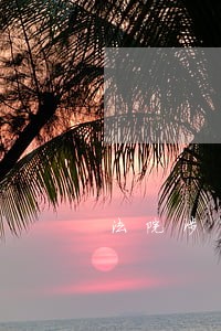 法院涉军停偿案件汇报 法院涉军停偿案件汇报