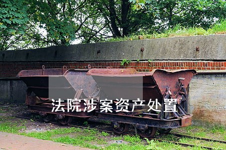 法院涉案资产处置 法院涉案资产处置