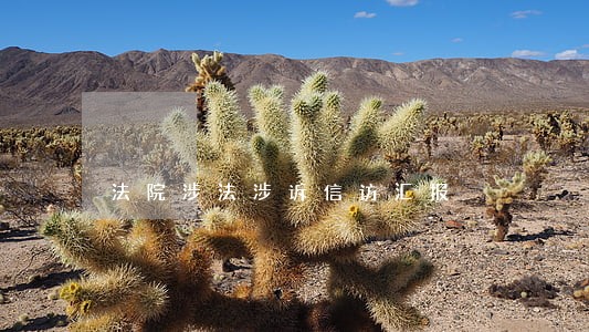 法院涉法涉诉信访汇报 法院涉法涉诉信访汇报