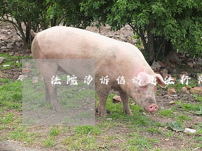 法院涉诉信访违法行为 法院涉诉信访违法行为