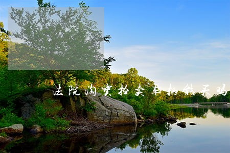 法院淘宝拍卖车辆能买吗 法院淘宝拍卖车辆能买吗
