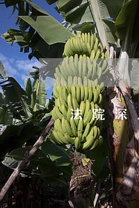 法院深入推进扫黑除恶打伞 法院深入推进扫黑除恶打伞