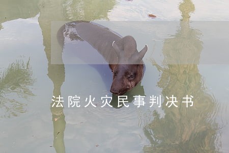 法院火灾民事判决书