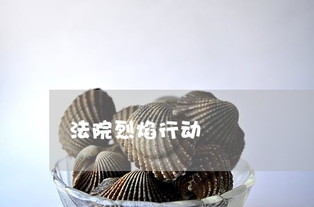 法院烈焰行动 法院烈焰行动